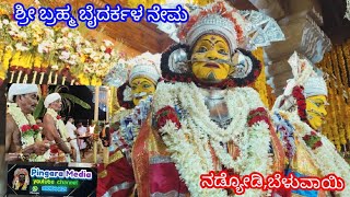 ಶ್ರೀ ಬ್ರಹ್ಮ ಬೈದರ್ಕಳ ನೇಮ ನಡ್ಯೋಡಿ,ಬೆಳುವಾಯಿ#naddyodi#nadyodi,#beluvai