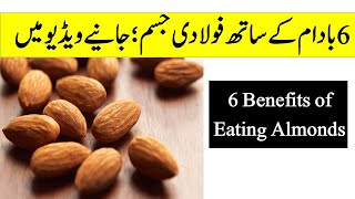 6 Benefits of Eating Almonds |  فائدے   جو  6 بادام کھانے سے حاصل ہوتے ہیں