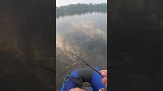 Долгожданный окунь на джиг! #shorts  #рыбалка #fishing #окунь