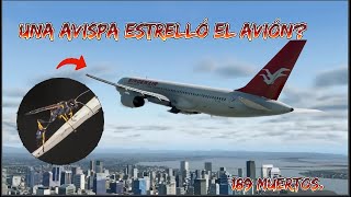 EL PEOR ACCIDENTE AÉREO DE REPÚBLICA DOMINICANA! / El vuelo 301 de Birgenair!