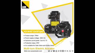 AOX丨Multi-turn Electric Actuator AOX-M-007