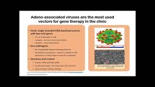 Two year outcomes of gene therapy in Haemophilia A