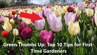 Green Thumbs Up: Top 10 Tips for First-Time Gardeners