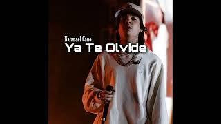 Ya Te Olvide - Natanael Cano