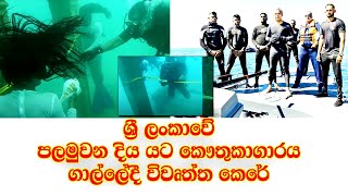 ශ්‍රී ලංකාවේ පලමුවන දිය යට කෞතුකාගාරය ගාල්ලේදී විවෘත්ත කෙරේ