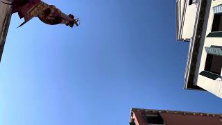 Italian Air Force flyover during 2023 Venice Film Festival.