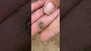 September 16, 2024 Metal Detecting