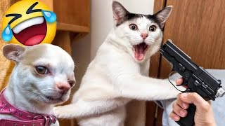 try not to laugh 🤣 funniest cats and dogs 2023 😹🐶 part 13