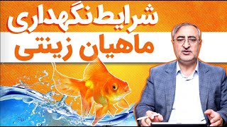 شرایط نگهداری ماهی زینتی Conditions for Keeping Ornamental Fish