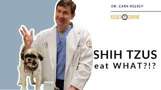 Shih Tzu's Eat What?!?!