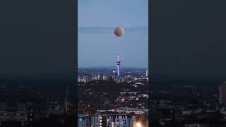 Sky Tower from different  Angles