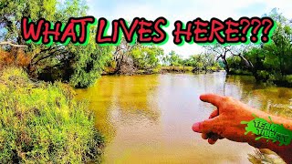 Expedition into the Outback || BUSHMAN'S MIXED GRILL || ( Catch Clean Cook )