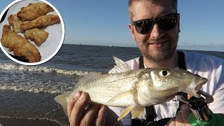 Whiting on Live Bait - CATCH CLEAN and COOK! Matt Kelly.