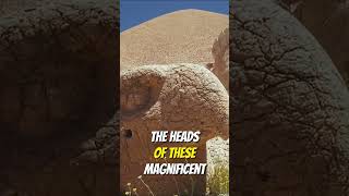 Awakening the Giants: The Enigmatic Guardians of Nemrut Dağ #ancientcivilization #shorts