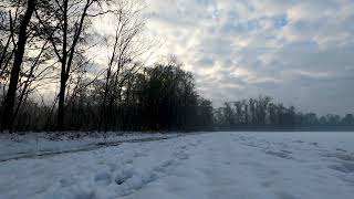 Frozen Panorama: Panning Through the Tranquil Elegance of Winter's Embrace ❄️📸