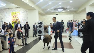 1 КОЙ! БАШ БАЙГЕГЕ КОЮЛДУ| КИМ УТАТ БОЛДУ ЭКЕН.1 SHEEP WAS PLACED FOR THE MAIN PRIZE