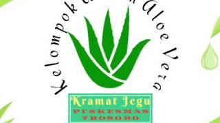 Asman Aloe Vera Asuhan Puskesmas Trosobo di Desa Kramat Jegu