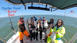 Halibut and Striper came out to Play in the Bay | Oyster Point Fishing.