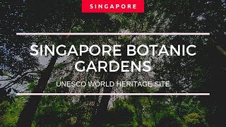 Botanical Gardens Singapore - UNESCO world heritage site pt. 2