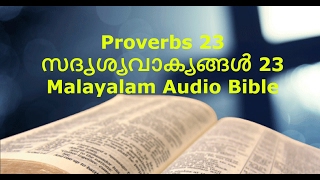 Proverbs 23 - Malayalam Audio Bible (സദൃശ്യവാക്യങ്ങൾ)