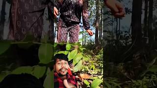 Survival Skills: single mom with watermelonskills in forest #survival #outdoors #skills #cooking