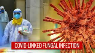 Black Fungus Coronovirus क्या है, इससे कैसे ख़तरा, कैसे हो बचाव?