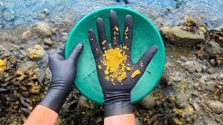 Finding Gold Nuggets While Scuba Diving! $2,000+ (How to Find Gold)