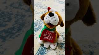 Homedepot I ate Santa cookies Dog wow 🤩 Feliz naughty dog. Best Christmas gift