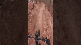 #bentonville Loam Wolf  #mtb