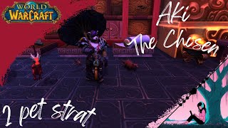 World of Warcraft | Aki The Chosen: 2 Pet Strat for "An Awfully Big Adventure" achievement