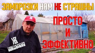 КАК СОХРАНИТЬ РАССАДУ В ЗАМОРОЗКИ. Простое решение. ЖКВ Саморучка