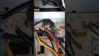 Furnace error: NOT what I was expecting #shorts #electrical #electric  #electrician