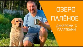 ОЗЕРО ПАЛЁНОЕ РЕСП. МАРИЙ ЭЛ. ОТДЫХ ДИКАРЯМИ С ПАЛАТКАМИ