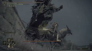 Elden Ring Boss, Night's Cavalry kills himself!