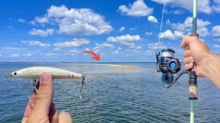 A SHARK ATTACKED My Brother's Fish!!! | Jack Crevalle Fishing | FloridaMan Fishing