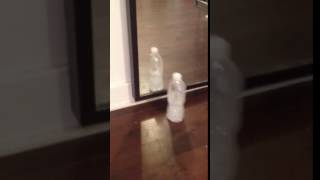 Bad bottle flip