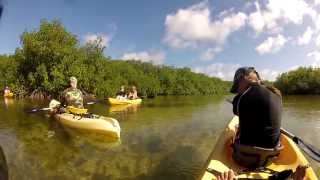 Kayak and Snorkling in Bonaire Mangrove - GoPro