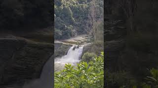 Водопад возле дороги /Waterfall near the road /New Zealand 🇳🇿 ♥️