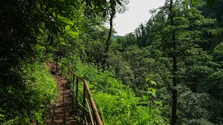 Mtirala National Park - Raw Hiking