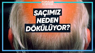 NEDEN SAÇIMIZ DÖKÜLÜYOR? | Popular Science Türkiye