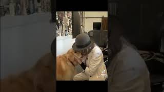 Enjoy Diane Keaton singing Irving Berlin's 'How Deep Is the Ocean' to her dog, Reggie.