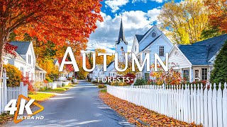 New England Autumn Foliage🍁Prettiest American Town to See Autumn Foliage | Peaceful Relaxing Music