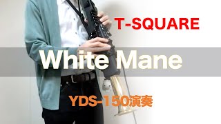 【YDS-150演奏】White Mane / T-SQUARE（伊東たけしさん）