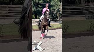 New bling? Who dis? #equitation #horse #dressagerider #workingequitation #equestrian #dressage #wec