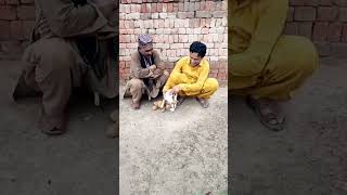 akbar badli new funny video