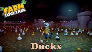 Farm Together - Ducks