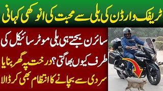 ٹریفک وارڈن کی بلی سے محبت|Traffic Warden Love With 🐈Cat