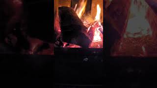 Load it #shorts #fyp #firewood  #asmr