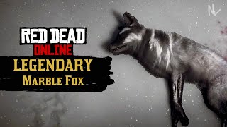 LEGENDARY Marble Fox!- Red Dead Online Naturalist Update