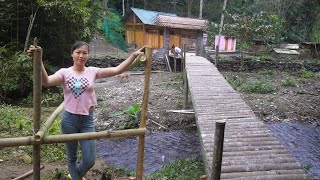 TIMELAPSE: How to make a bridge out of bamboo across the stream - Beauty farm in the forest